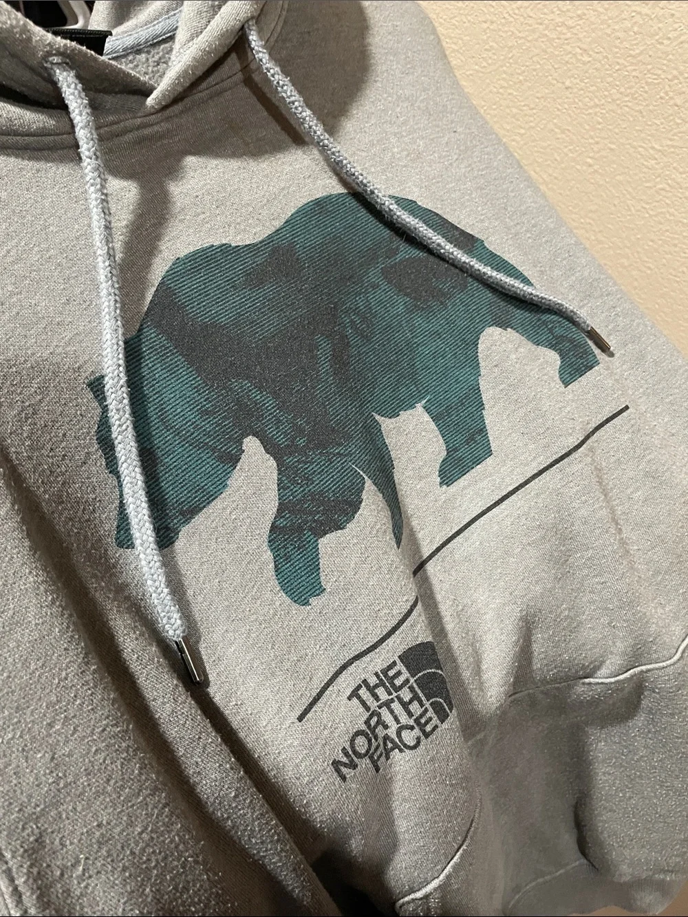 The North Face Gray Hoodie with Dark Teal Bear Graphic
